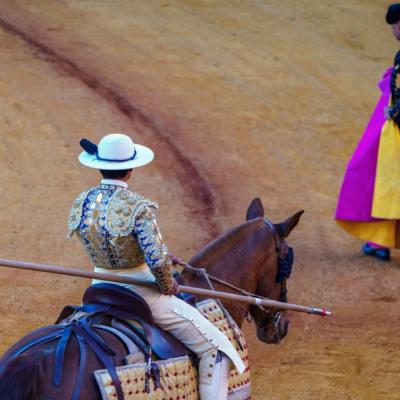 Matador na koni v býčej aréne.