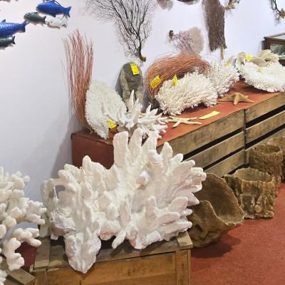 Minerály na Elbe v múzeu.