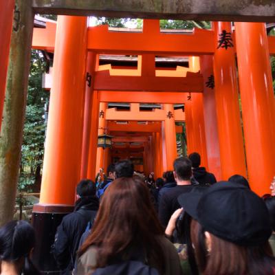 Oranžové brány a ľudia idúci ku svätyni Inari. Kjóto.