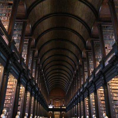 Drevená knižnica a naukladné knihy. Dublin