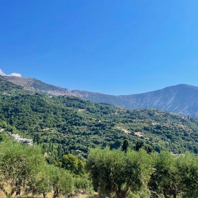 Cesta na Lasithi cez hory na Kréte.
