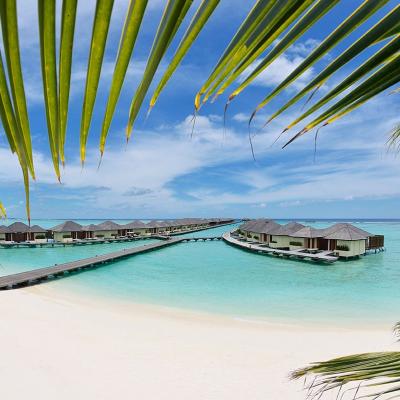 Pláž Maldivy