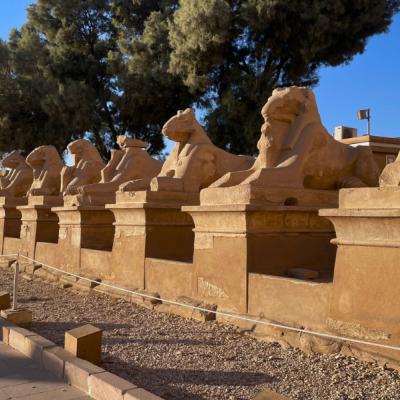 Aleja sfíng v chráme Karnak.