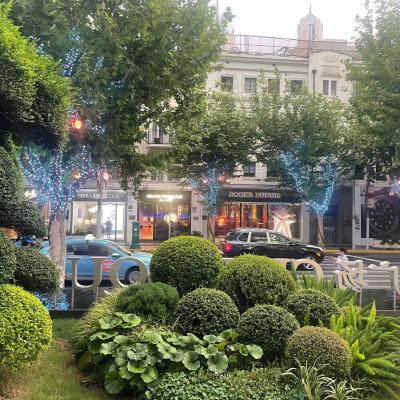 Luxusné ulice v Šanghaji.