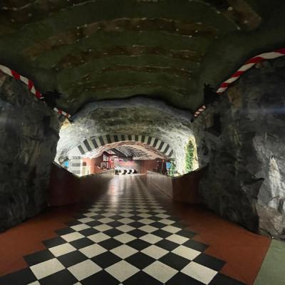 Stanica na metro v Štokholme pripomínajúca vstup do jaskyne.