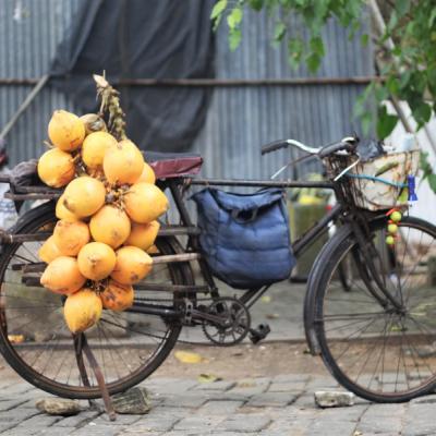 Predaj kokosov na bicykli.