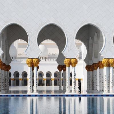 Mešita Šejka Zayed