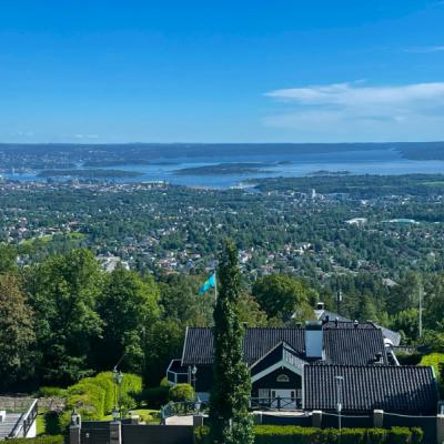Pohľad na Oslo a fjordy.