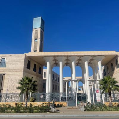 Exteriér mešity v Alžíri a vysoký minaret.