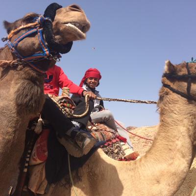 Miestni beduíni na ťavách v Petre.