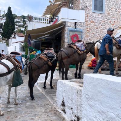 Mulice na ostrove Hydra.