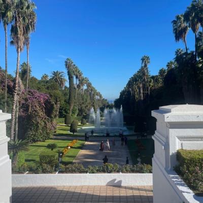 Záhrada Hamma s palmami.