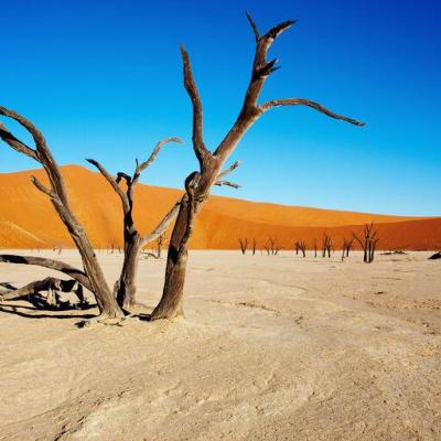 Národný park Namib-Naukluft