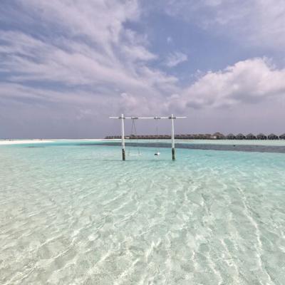 maldivy