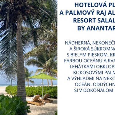 hotelová pláž a palmový raj al baleed resort salalah by anantara
