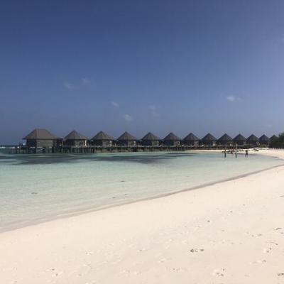 Maldivy