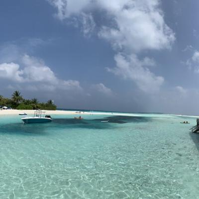 maldivy