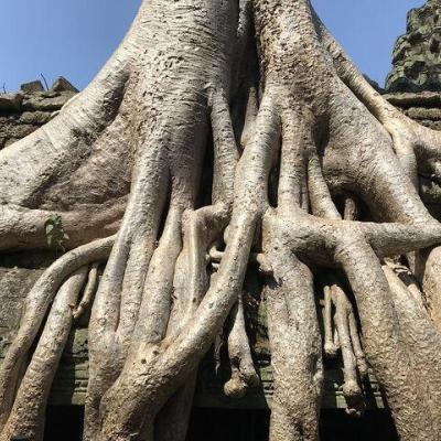 chrámový komplex Angkor Wat