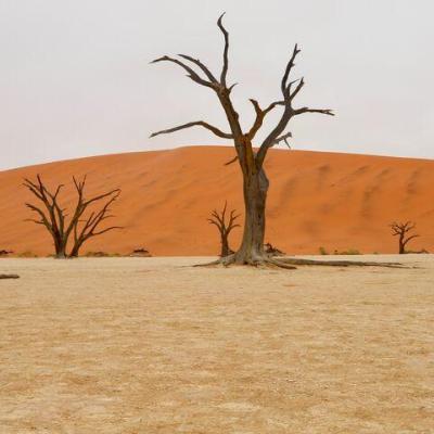 Národný park Namib-Naukluft