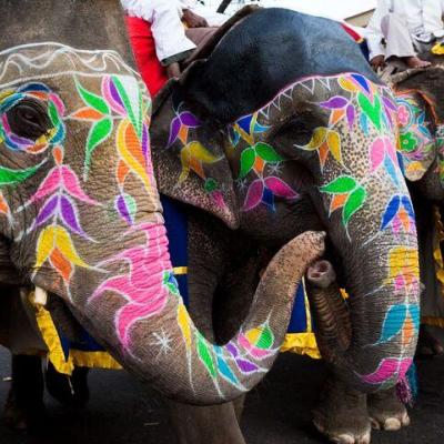 slony india