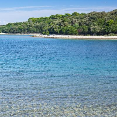 Národný park Brijuni s morským pobrežím.