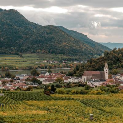 Zelené údolie Wachau a rieka Dunaj v pozadí.