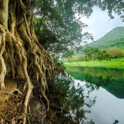 Zelené údolie Wadi Darbat v oblasti Salalah, Omán