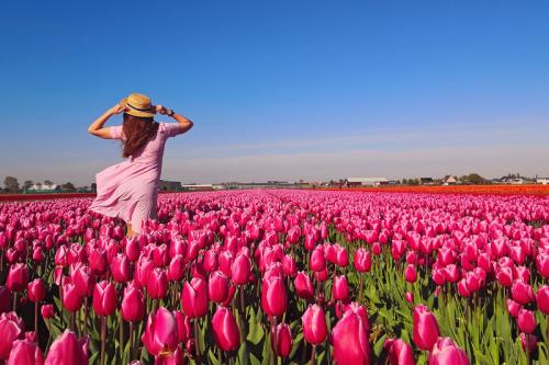 Najkrajšie tulipány, najlepšie syry a najpestrejšia jazda na bicykli
