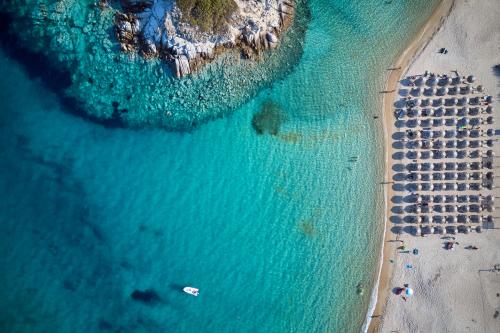 Tour de Chalkidiki s Norikou Fedorovou