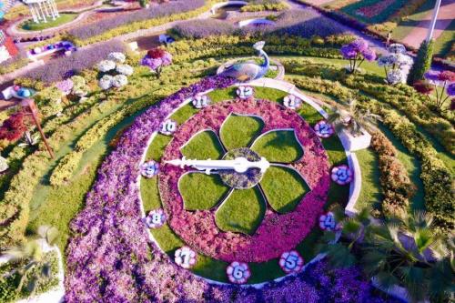 Dubai Miracle Garden: Najväčšia prírodná kvetinová záhrada na svete