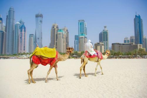 TOP 10 atrakcií v Dubaji