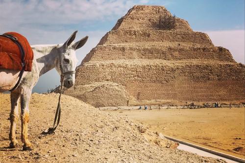 8 divov Egypta počas plavby po Níle
