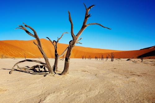 10 neopakovateľných zážitkov z Namíbie
