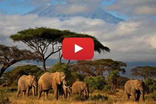 Keňa - skúsenosti turistického sprievodcu (video)