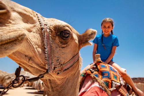 Rodinné cesty, na ktoré deti nikdy nezabudnú
