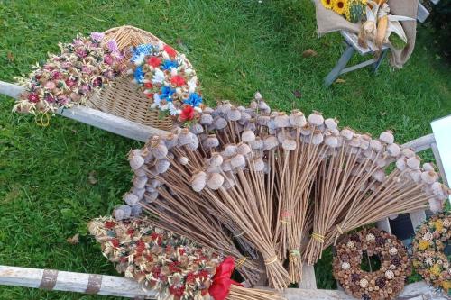 Makové dobrodružstvo