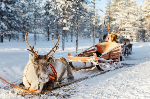 Laponsko pre deti - cesta za Santa Clausom