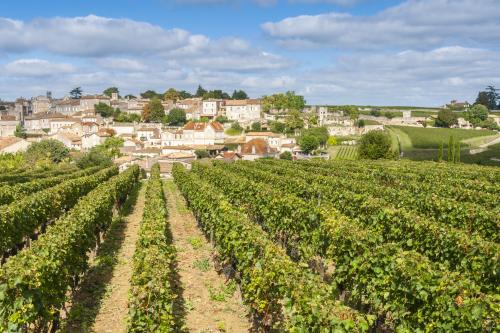 Bordeaux legendárne mesto vína a ustríc