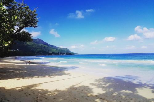 Coral Strand Smart Choice