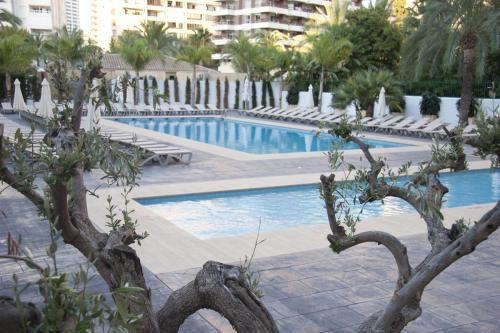 Flash Hotel Benidorm