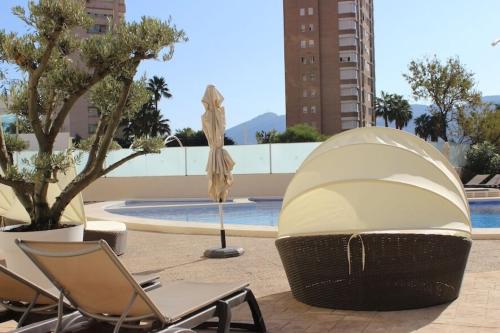 Flamingo Beach Resort