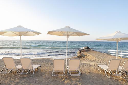 White Olive Marine Aqupark Kos