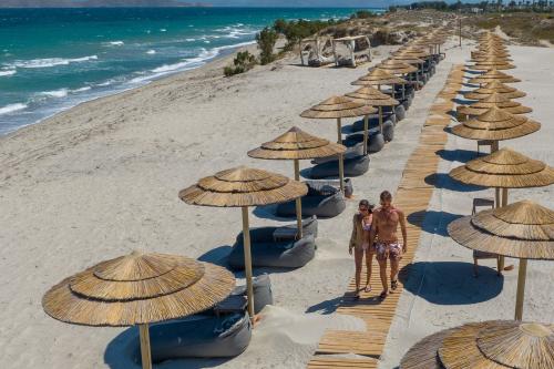 Hotel D'Andrea Lagoon