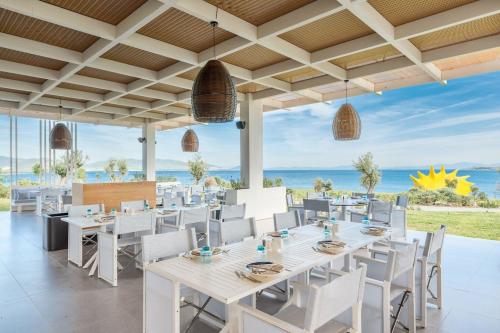 Anda Barut Collection