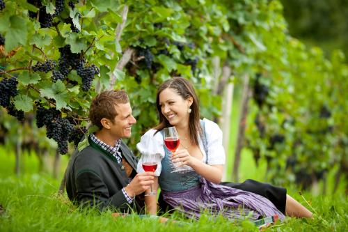 Klenoty v údolí rieky Kamp