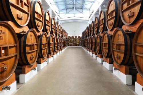 Moldavsko - medzi vinicami a históriou