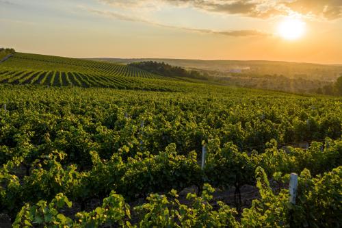 Moldavsko - cesta za najstaršími pivnicami sveta