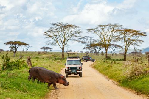 Zanzibar All Inclusive a safari v NP Serengeti a Ngorongoro