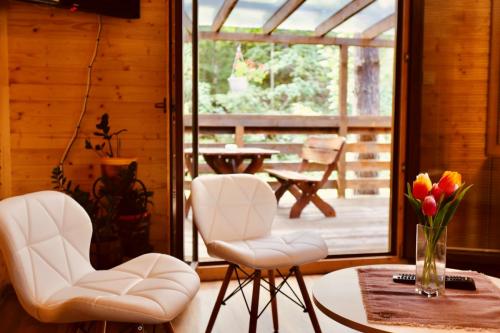 ALEXANDRA WELLNESS HOTEL