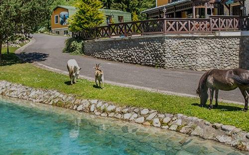 Horská Chata OREŠNICA